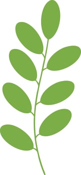 Green leafy branch simple illustration with natural organic shape for design and decoration purposes vector
