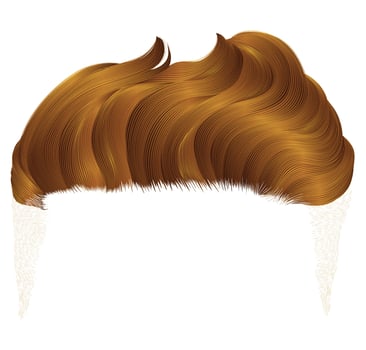 trendy stylish red man hairs. beauty style . high hair styling vector