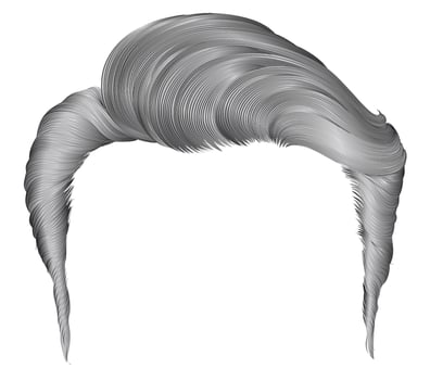 trendy man hairs . gray color. beauty style vector