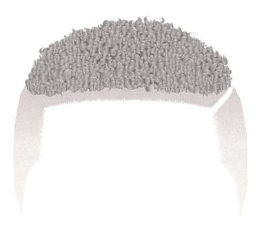 trendy curly african short blond hair . realistic 3d . fashion beauty style . unisex women men.afro vector