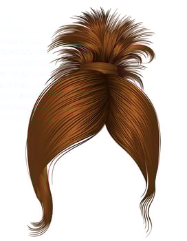 trendy women hairs red colour .high tail . fashion beauty style vector