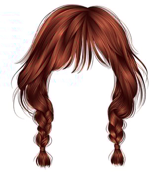 trendy women hairs red colour .two plaits . fashion beauty style vector