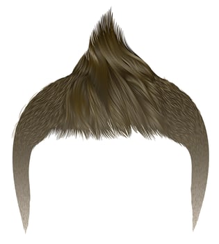 trendy man hairs . brown blond color . beauty style .Iroquois vector