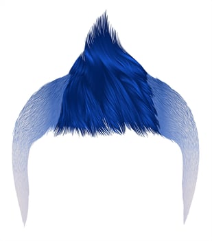 trendy man hairs . dark blue color . beauty style .Iroquois vector