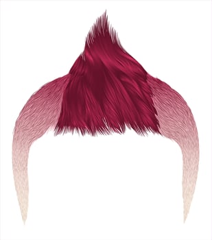 trendy man hairs . red color . beauty style .Iroquois vector