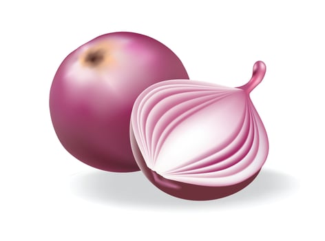 Red Onion with Cut Section Showing Layers, Illustration. vector