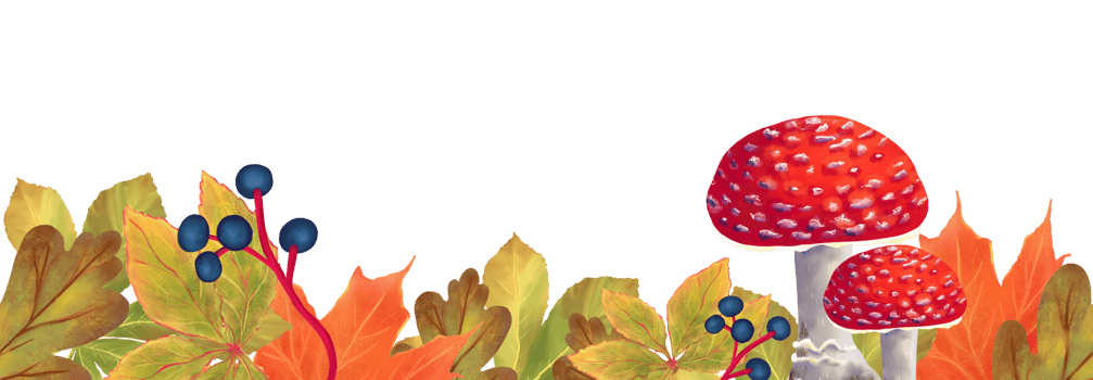 Hand drawn bright autumn seamless horizontal banner with fly agarlic mushrooms and leaves, isolated on transparent background, perfect for autumn, fall and Thanksgiving designs. png