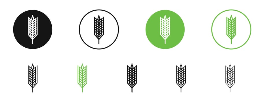 Wheat icons in black and green colors collection vector