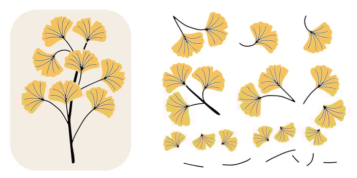 Flat illustration of large black ginkgo biloba branch with yellow fan-shaped leaves. Perfect for autumn greeting cards, seasonal packaging, textile patterns, posters, wrapping paper vector