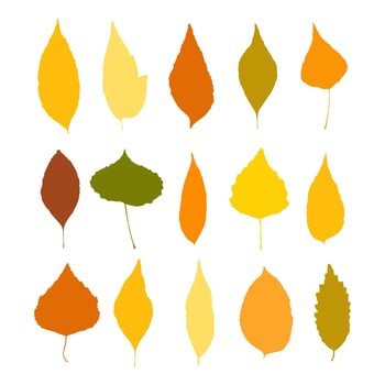 Colorful autumn leaves set isolated on white background vector