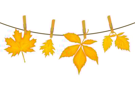 Autumn leaves background vector