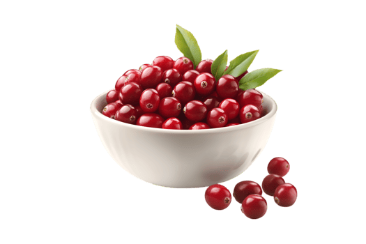 Fresh Cranberries in White Bowl Healthy Eating png