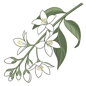 An illustration of a branch of flowers vector