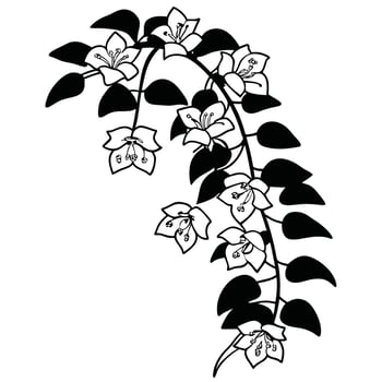 Black and white flowers on a branch vector