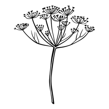 A black and white drawing of a plant with flowers vector
