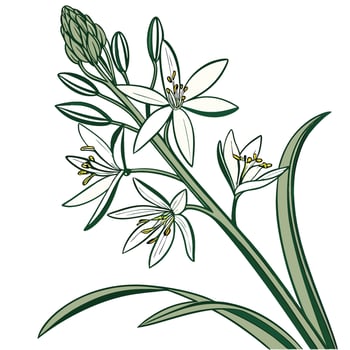 A white flower with green leaves vector