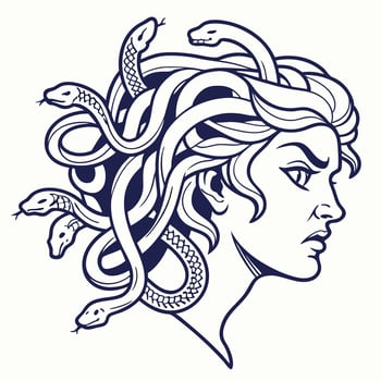 Medusa head with snakes in her hair vector