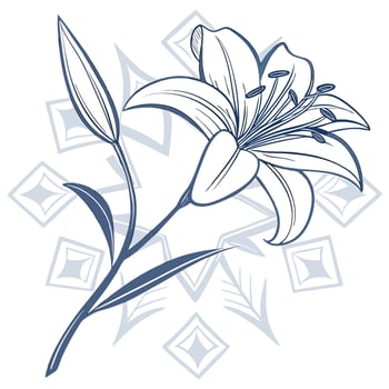 A lily flower on a white background vector