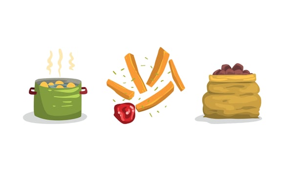 Raw Potato Boiling in Cooking Pot and French Fries Strips with Tomato Sauce as Root Vegetable Food Set vector