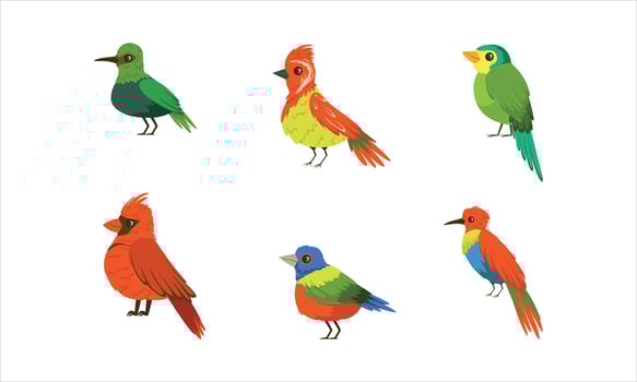 Colorful exotic bird illustrations vector