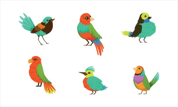 Colorful illustrated birds in various poses vector