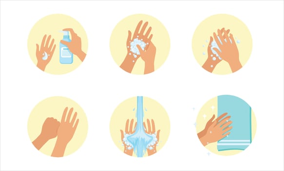 Steps for hand washing effectively vector