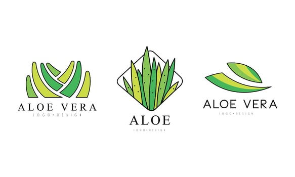 Aloe Vera Logo Set, Organic Products, Cosmetics, Spa, Beauty Salon Green Badge Design Tmeplate Illustration vector