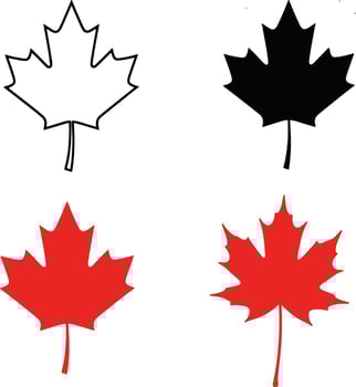 Set of Canadian Maple Leaf Icons and Symbols vector
