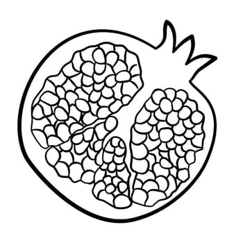 doodle pomegranate line art illustration vector