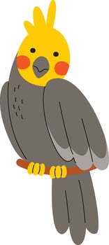 Corella Parrot Sitting On Twig Illustration vector