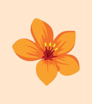 Vibrant orange lily flower illustration with bold petals and yellow stamens, vector