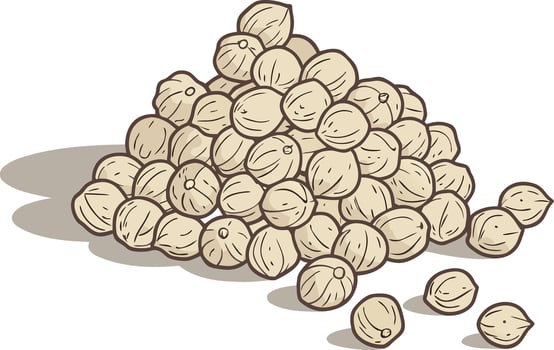 Fresh Chickpeas Artwork on White Background Chickpeas Close-Up Illustration vector