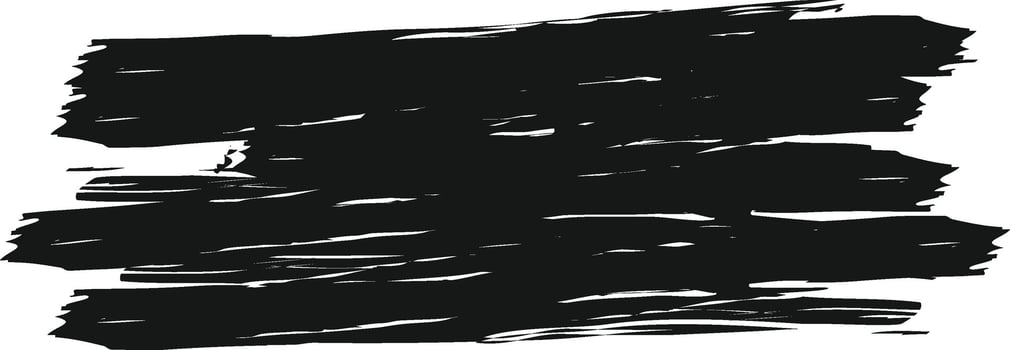 Brush Paint Stroke vector