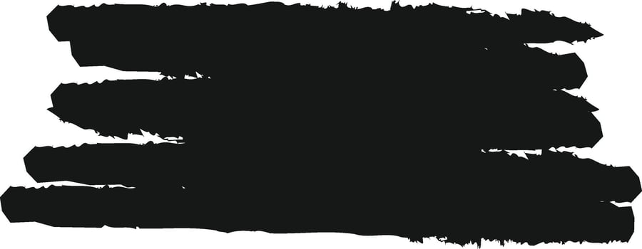 Brush Paint Stroke Drawn vector