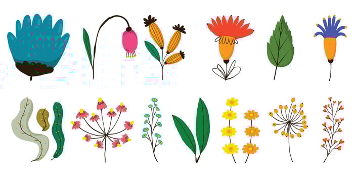 Hand-drawn flowers and leaves collection vector