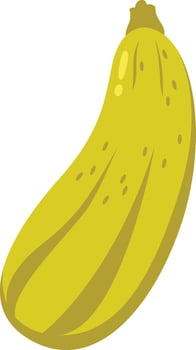 Zucchini Vegetable Icon Flat Illustration vector
