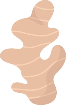 Ginger Root Icon vector