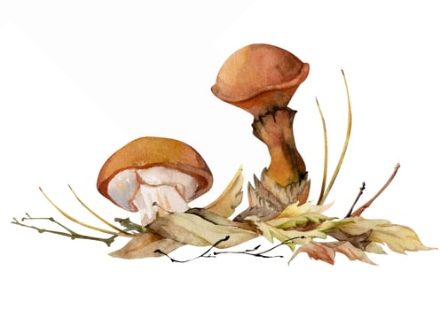 Watercolor mushrooms in nature vector