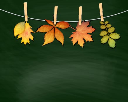 Autumn leaves hanging on a clothesline vector