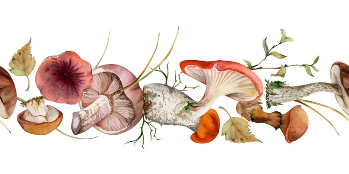 Colorful mushrooms in a natural setting vector