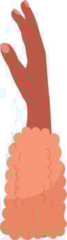 Woman Hand Palm Illustration vector
