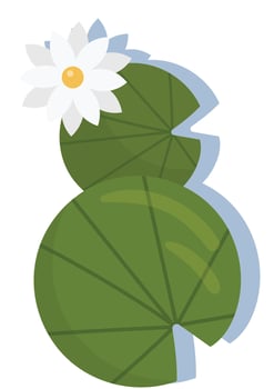 Lilly Flower Plant Illustration vector