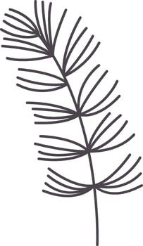 Conifer Branch Outline vector