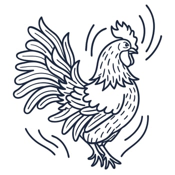 Rooster outline with elegant feathers farm animal, rural wildlife, organic agriculture, crowing bird illustration vector