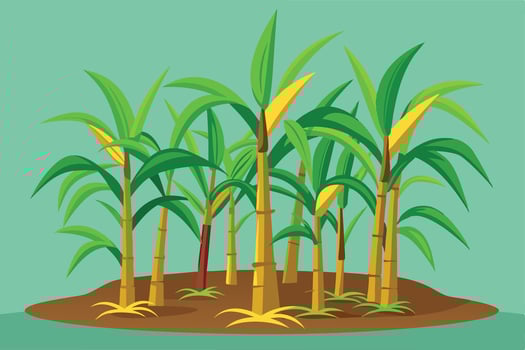 Lush Green Sugarcane Plantation Thriving in a Serene Tropical Setting, Illustrative Artwork - Professional digital artwork with vibrant colors and detailed composition vector