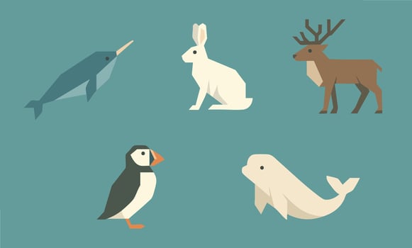 Illustration of Arctic animals including narwhal vector