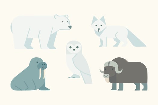 Arctic animals illustration with bear and walrus vector