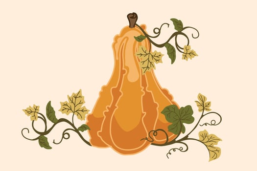 Detailed vintage butternut squash illustration with curling autumn vines and leaves, perfect for fall decor, kitchen prints, seasonal patterns, and harvest-themed designs vector