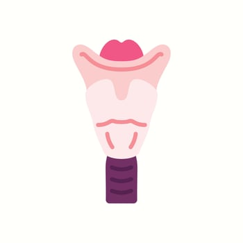 Larynx Internal Organ Illustration vector