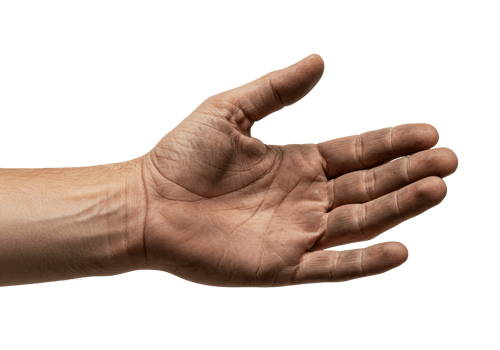 Human open hand front view on transparent background png
